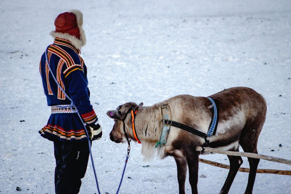A male Sámi with a reindeer ready for a sleigh ride. The Sámi guy is in traditional dress and hat. Snow covers the ground below.
